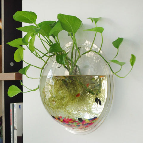 Image of High Quality Acrylic Wall Hanging Bubble Aquarium Bowl Fish Tank Aquarium,shrimp fish tanks, Home Decoration