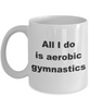 Aerobic Gymnastics | All I Do Is Aerobic Gymnastics