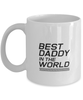 Funny Dad Mug, Best Daddy In The World, Sarcasm Birthday Gift For Father From Son Daughter, Daddy Christmas Gift