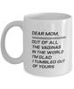 Funny Mom Mug, Dear Mom, Out Of All The Vaginas In The World, Sarcasm Birthday Gift For Mother From Son Daughter, Mommy Christmas Gift