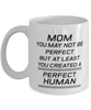 Funny Mom Mug, Mom You May Not Be Perfect But At Least You Created, Sarcasm Birthday Gift For Mother From Son Daughter, Mommy Christmas Gift