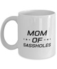 Funny Mom Mug, Mom Of Sassholes, Sarcasm Birthday Gift For Mother From Son Daughter, Mommy Christmas Gift