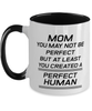 Funny Mom Two Tone Mug, Mom You May Not Be Perfect But At Least You Created, Sarcasm Birthday Gift For Mother From Son Daughter, Mommy Christmas Gift