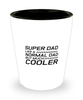 Funny Dad Shot Glass, Super Dad Like A Normal Dad But Much Cooler, Sarcasm Birthday Gift For Father From Son Daughter, Daddy Christmas Gift