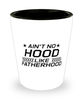 Funny Dad Shot Glass, Ain't No Hood Like Fatherhood, Sarcasm Birthday Gift For Father From Son Daughter, Daddy Christmas Gift
