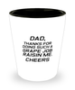 Funny Dad Shot Glass, Dad, Thanks For Doing Such A Grape Job, Sarcasm Birthday Gift For Father From Son Daughter, Daddy Christmas Gift