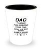 Funny Dad Shot Glass, Dad Thanks For Sharing Your DNA. Now, Sarcasm Birthday Gift For Father From Son Daughter, Daddy Christmas Gift