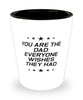 Funny Dad Shot Glass, You Are The Dad Everyone Wishes They Had, Sarcasm Birthday Gift For Father From Son Daughter, Daddy Christmas Gift