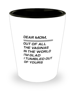 Funny Mom Shot Glass, Dear Mom, Out Of All The Vaginas In The World, Sarcasm Birthday Gift For Mother From Son Daughter, Mommy Christmas Gift