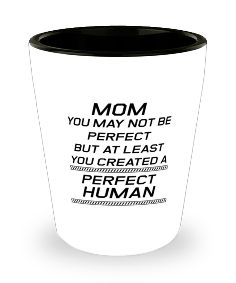 Funny Mom Shot Glass, Mom You May Not Be Perfect But At Least You Created, Sarcasm Birthday Gift For Mother From Son Daughter, Mommy Christmas Gift