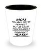 Funny Mom Shot Glass, Mom You May Not Be Perfect But At Least You Created, Sarcasm Birthday Gift For Mother From Son Daughter, Mommy Christmas Gift