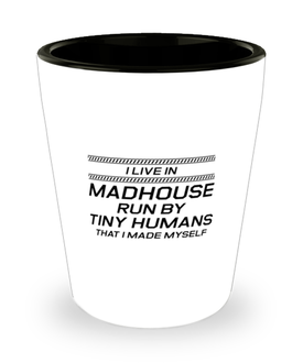 Funny Mom Shot Glass, I Live In Madhouse Run By Tiny Humans, Sarcasm Birthday Gift For Mother From Son Daughter, Mommy Christmas Gift