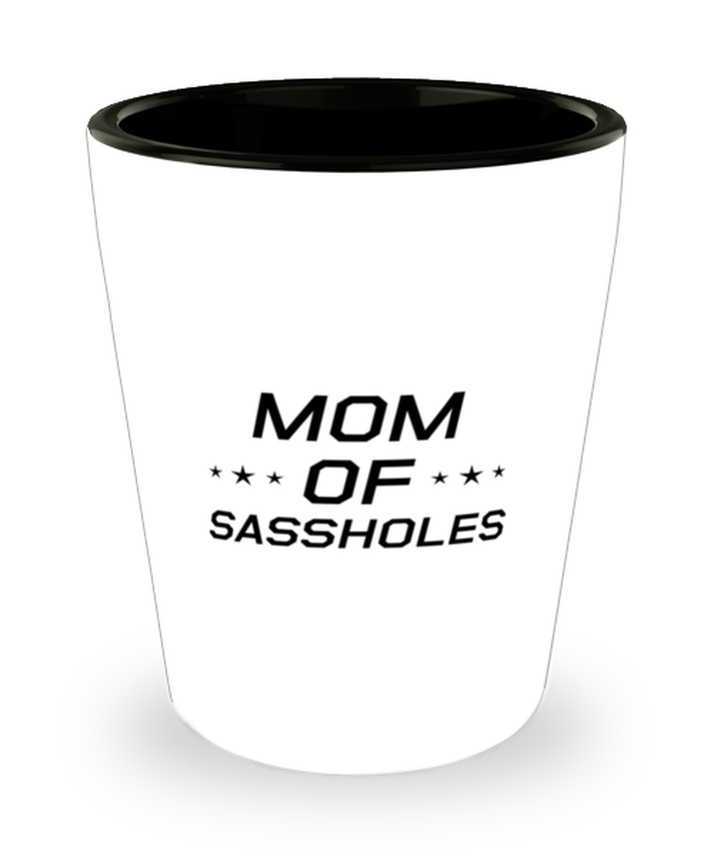 Funny Mom Shot Glass, Mom Of Sassholes, Sarcasm Birthday Gift For Mother From Son Daughter, Mommy Christmas Gift