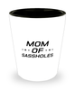 Funny Mom Shot Glass, Mom Of Sassholes, Sarcasm Birthday Gift For Mother From Son Daughter, Mommy Christmas Gift