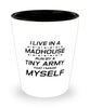 Funny Mom Shot Glass, I Live In A Madhouse Run By A Tiny Army, Sarcasm Birthday Gift For Mother From Son Daughter, Mommy Christmas Gift