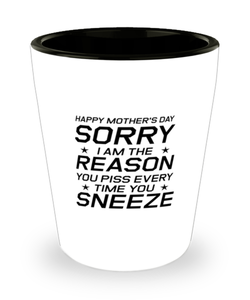 Funny Mom Shot Glass, Happy Mother's Day Sorry I Am The Reason, Sarcasm Birthday Gift For Mother From Son Daughter, Mommy Christmas Gift